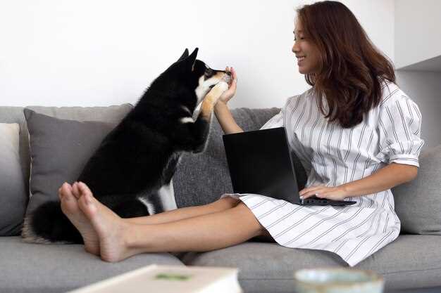 Clicker Training Basics - Teaching Sit Clicker Training Basics - Teaching Sit