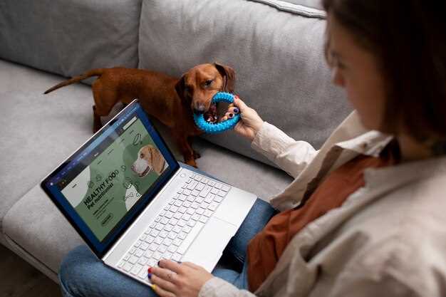 Clicker Training Basics - Teaching Sit Clicker Training Basics - Teaching Sit