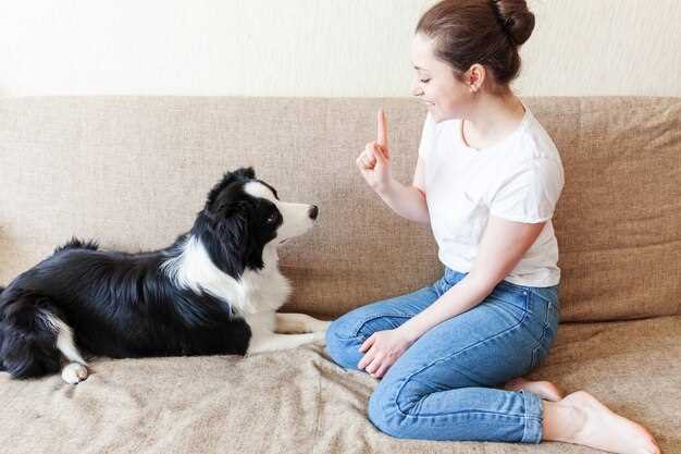 Clicker Training Basics - Teaching Sit Clicker Training Basics - Teaching Sit