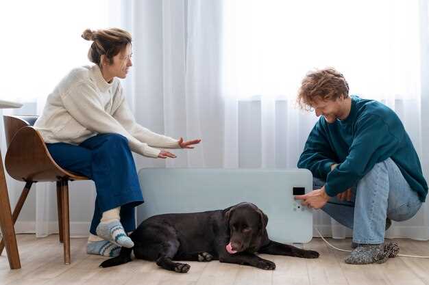 Crate Training 101 – A Positive Reinforcement Approach