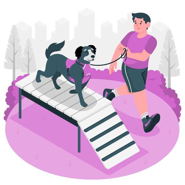 Crate Training 101 - A Positive Reinforcement Approach Crate Training 101 - A Positive Reinforcement Approach