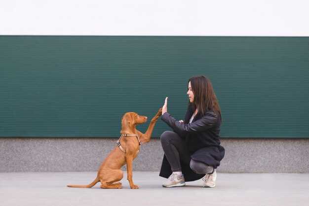 Crate Training 101 - A Positive Reinforcement Approach Crate Training 101 - A Positive Reinforcement Approach
