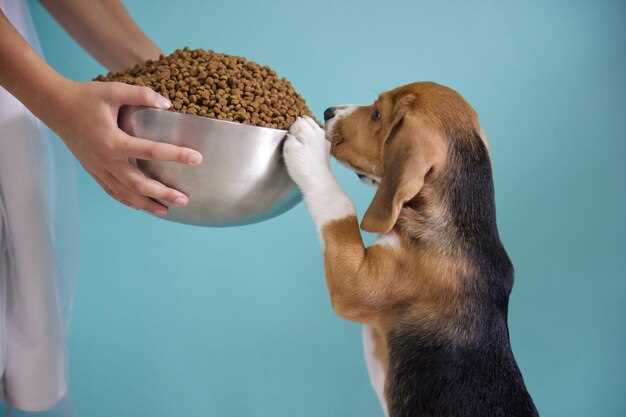Essential Nutrients for Growing Puppies Essential Nutrients for Growing Puppies