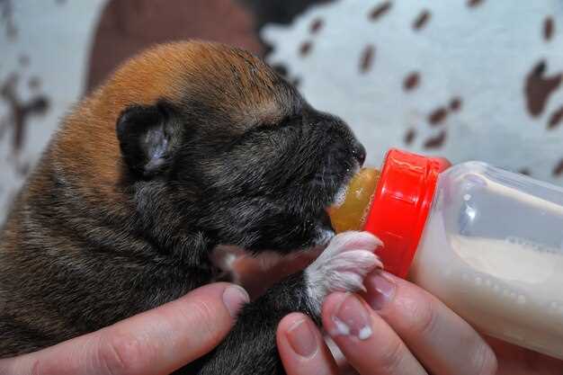 Essential Nutrients for Growing Puppies Essential Nutrients for Growing Puppies