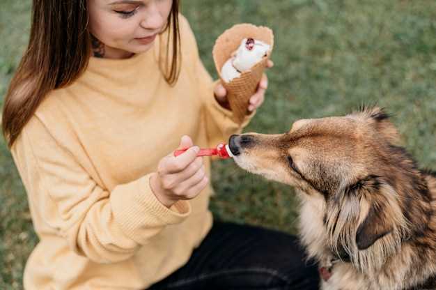 Essential Nutrients for Growing Puppies Essential Nutrients for Growing Puppies