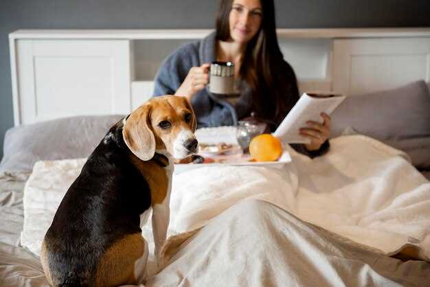First 48 Hours Home - Puppy Socialization Checklist First 48 Hours Home - Puppy Socialization Checklist