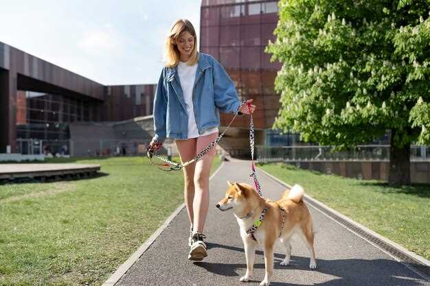Leash Walking Without Pulling – Techniques That Work