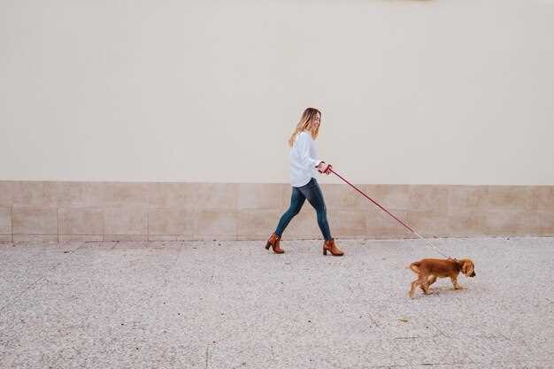 Leash Walking Without Pulling - Techniques That Work Leash Walking Without Pulling - Techniques That Work