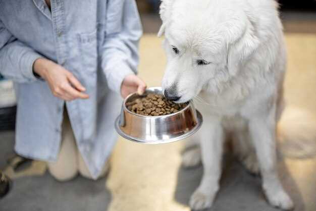 Reading Dog Food Labels - What the Claims Really Mean Reading Dog Food Labels - What the Claims Really Mean