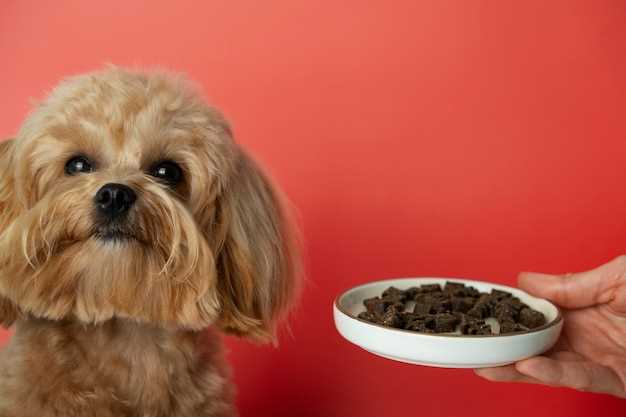 Reading Dog Food Labels - What the Claims Really Mean Reading Dog Food Labels - What the Claims Really Mean