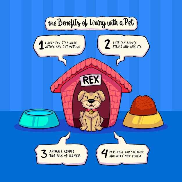 Transitioning from Puppy to Adult Food - Timeline and Tips Transitioning from Puppy to Adult Food - Timeline and Tips
