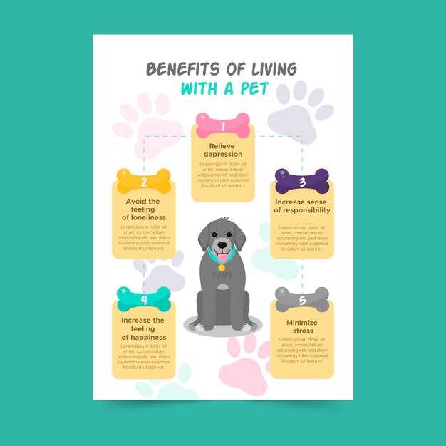 Transitioning from Puppy to Adult Food - Timeline and Tips Transitioning from Puppy to Adult Food - Timeline and Tips
