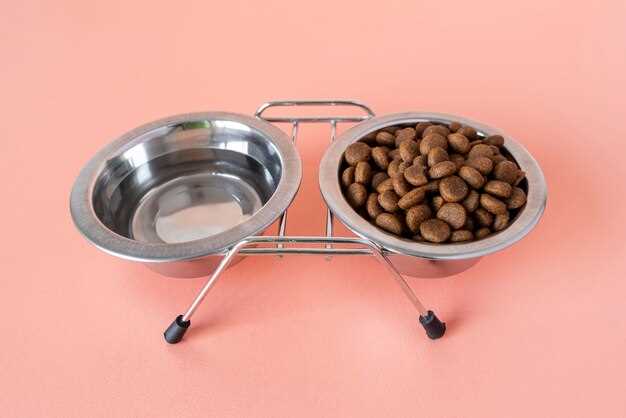 Wet vs Dry Food for Puppies – Vet‑Based Comparison
